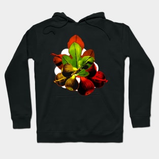 Fig leaves and fruit Hoodie